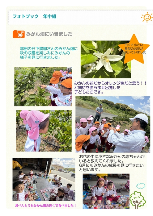 年中組　みかん畑に行きました