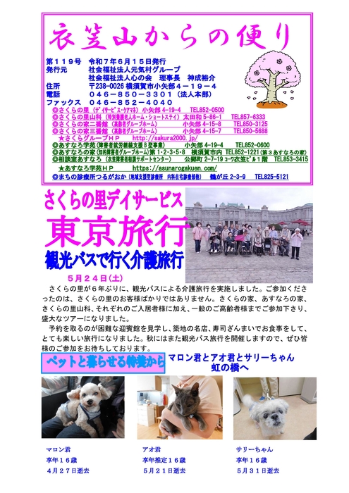 衣笠山★１１９号