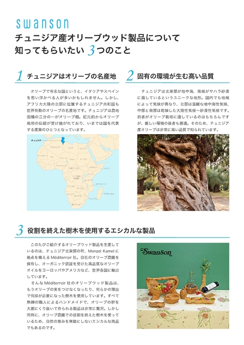 チュニジアオリーブのご紹介