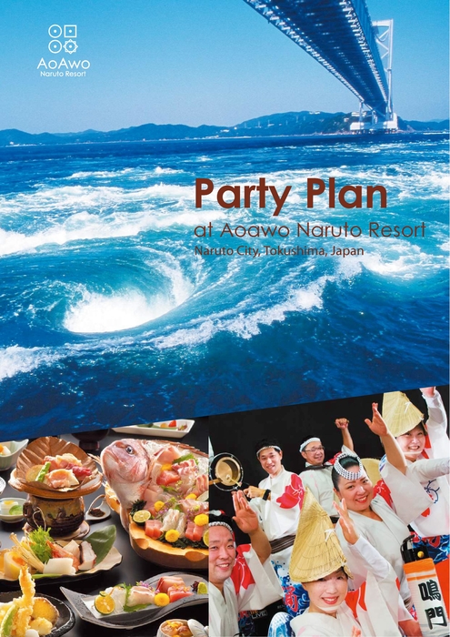 PARTY PLAN