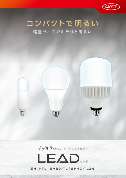 LEAD LED電球 E26